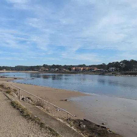 Maison 62m Avec Grand Jardin Et Piscine * Aureilhan (Landes)